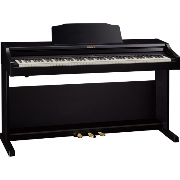 ROLAND RP501R-CB