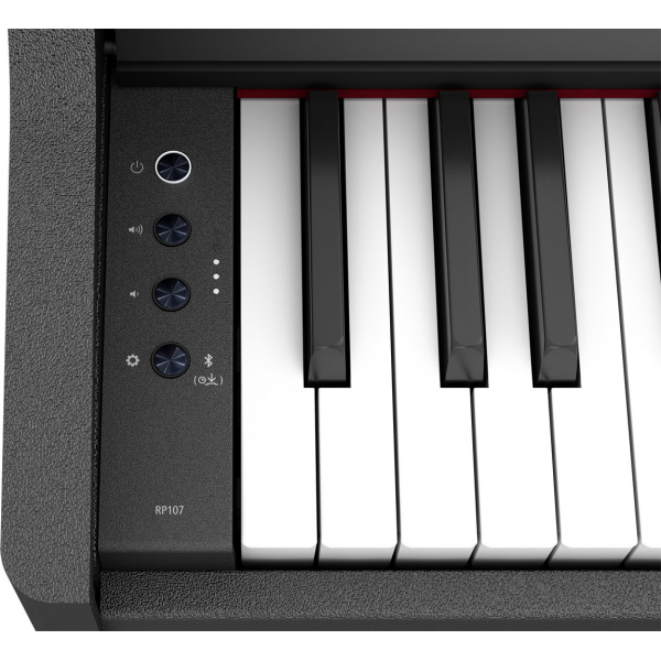 Roland RP107