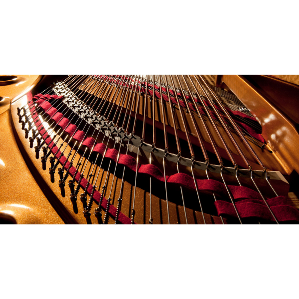 Kawai SK-5L M/PEP