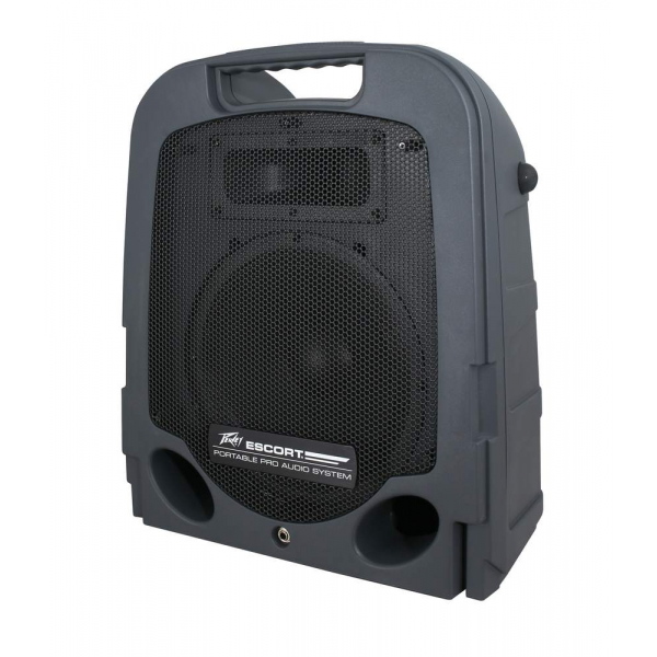 PEAVEY Escort 6000