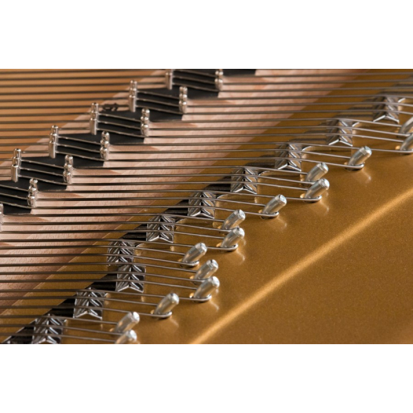 Kawai GL-50 M/PEP