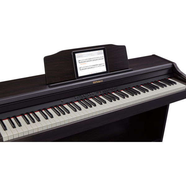 ROLAND RP501R-CB