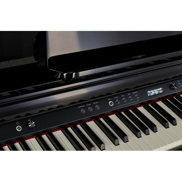 Roland LX705-PE + KSL705-PE