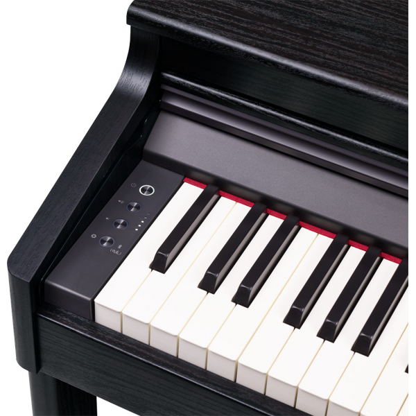 Roland RP701-CB