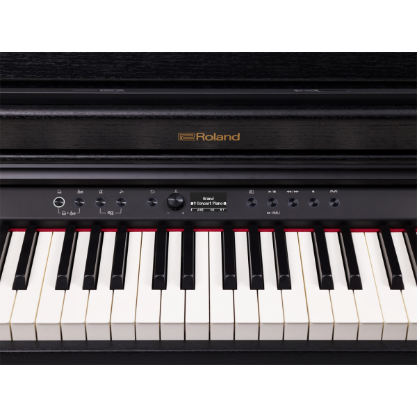 Roland RP701-CB
