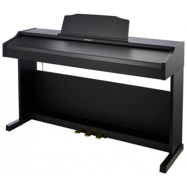 ROLAND RP501R-CB