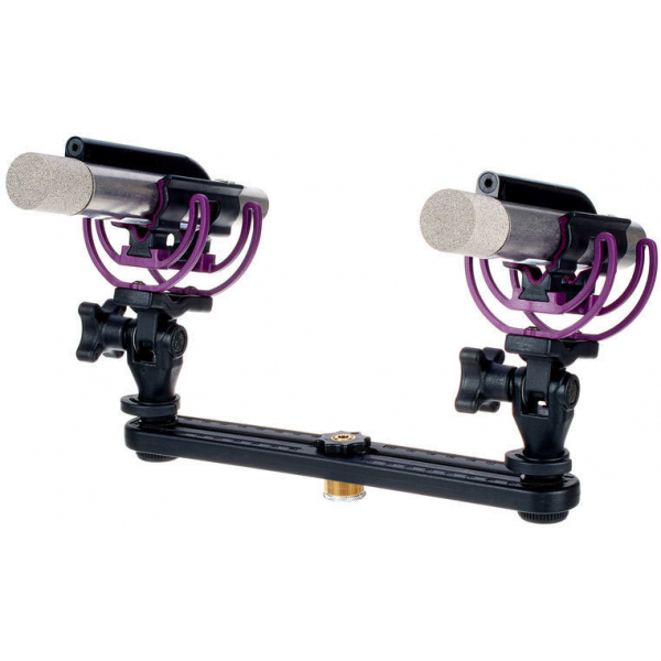 Aston Microphones STARLIGHT Stereo Pair