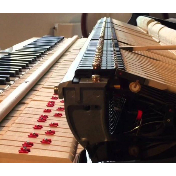 Kawai GL-30 M/PEP