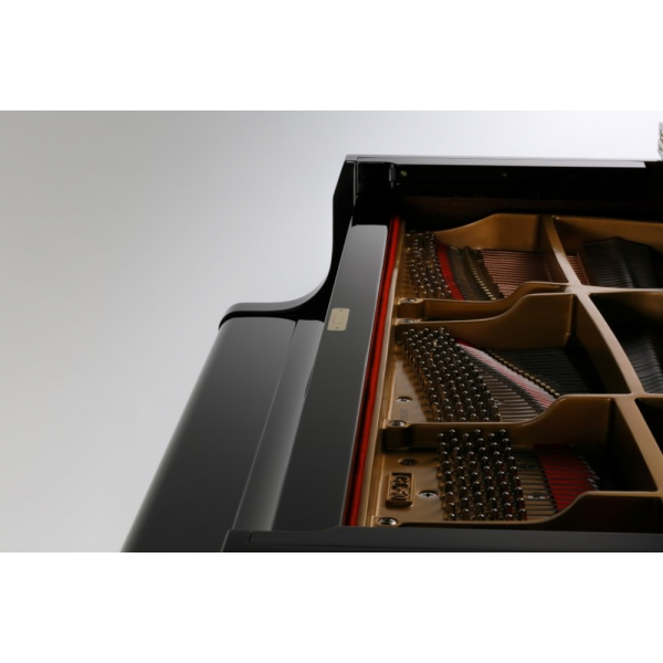 Kawai GL-10 M/PEP