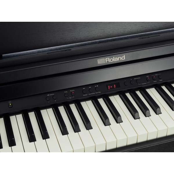 ROLAND RP501R-CB