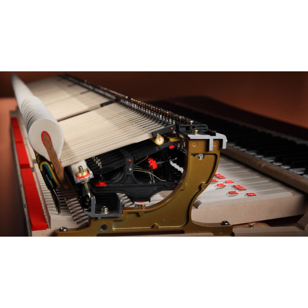 Kawai SK-5L M/PEP
