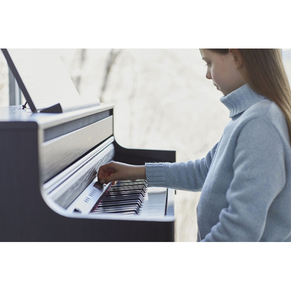 Roland HP704-CH + KSH704/2CH