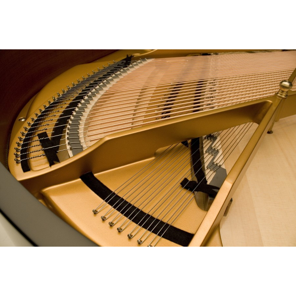 Kawai GX-5 M/PEP