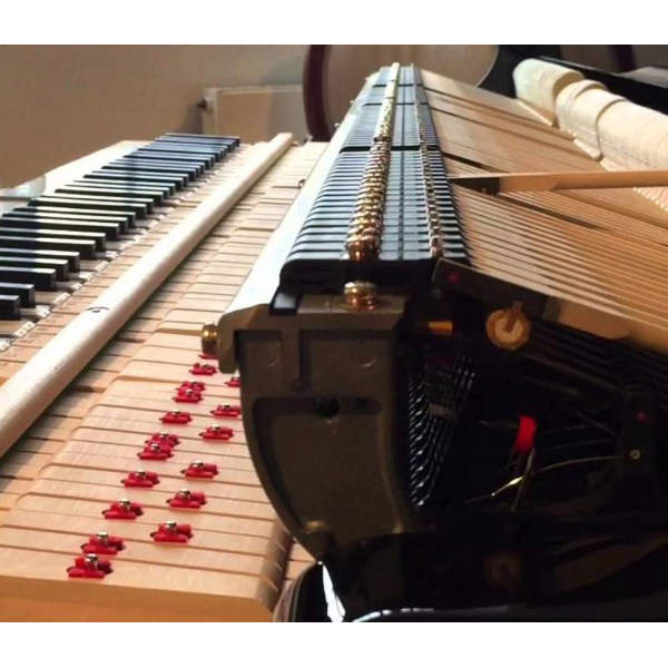 Kawai GL-40 M/PEP