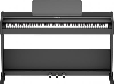Roland RP107