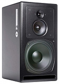 PSI AUDIO А25-M Black