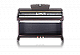 Цифровые пианино, рояли и органы