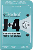 Radial J+4