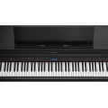 Roland HP704-CH + KSH704/2CH